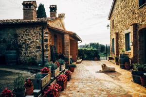 a dog laying on the ground next to a building at Podere Orto Wine Country House in Trevinano