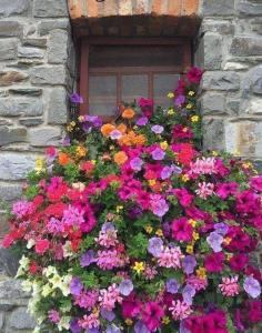 A garden outside Affittacamere da Annarè