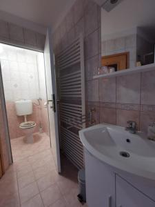 a bathroom with a white sink and a toilet at Nikol in Karlovac