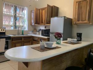 a kitchen with a counter top with a refrigerator at Musgrave AnneX- comfy 1 bedroom apartment on the ground floor in Kingston