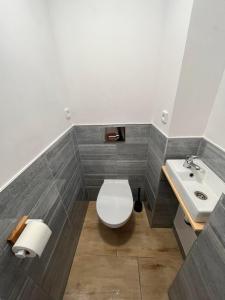 a bathroom with a toilet and a sink at Hostel WOKU in Świebodzice