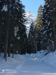 Affittacamere da Annarè during the winter