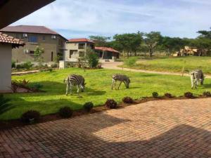 Gallery image ng Indlovu Guesthouse sa Nelspruit