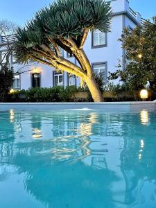 a tree in front of a building with a swimming pool at Casa Às Seis in Angra do Heroísmo