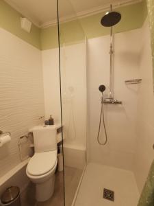 a bathroom with a toilet and a shower at Studio calme et très lumineux, au pied de notre Dame de la Garde in Marseille