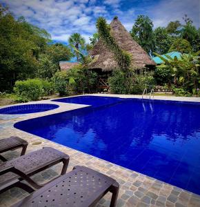 a resort swimming pool with two chairs and a thatch roof at Rio Napo Lodge in Puerto Misahuallí