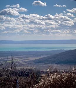 Φυσικό τοπίο κοντά σε αυτό το διαμέρισμα