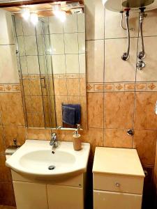 uma casa de banho com um lavatório e um espelho em Apartman Ivo, Bol em Bol