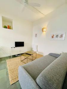 a living room with a couch and a tv at LA MOUNINE - Hyper centre - 37m2 - 4 pers in Cassis
