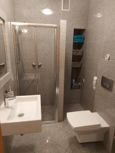 uma casa de banho com um chuveiro, um lavatório e um WC. em Apartament Zakopane Kamieniec 10i em Zakopane
