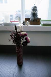 Zdjęcie z galerii obiektu Signy´s Nest w Reykjavík