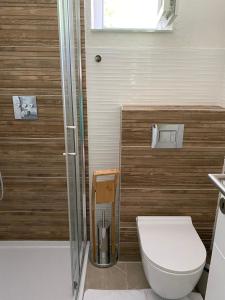 een badkamer met een toilet en een douche bij The House in Medulin +8 foto's