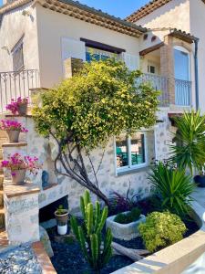 a house with plants in front of it at Le Bellevue in Saint-Paul-de-Vence