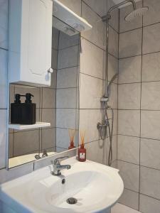Bathroom sa Joli T2 rénové et calme Quartier desrochers à Fort de France