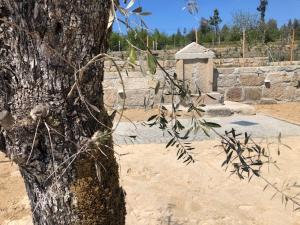 Um jardim no exterior de SOLAR DA SERRA-GuestHouse