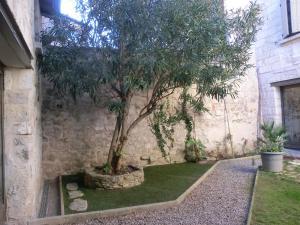 O grădină în afara Chambre sur jardin secret - Avignon Centre - Climatisée +21 fotografii