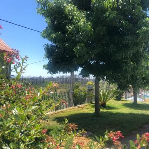 Um jardim no exterior de SOLAR DA SERRA-GuestHouse