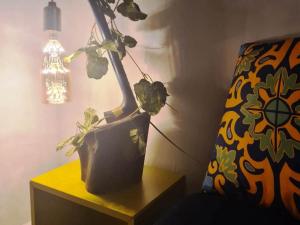 une plante en pot assise sur une table à côté d'une chaise dans l'établissement Superbe Appartement à 2 Min de la gare de Tanger et à 5 min de la plage Malabata, à Tanger