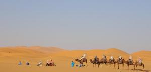 un grupo de gente montando caballos en el desierto en MERZOUGA OVERNIGHT CAMP, en Merzouga