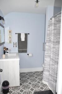 ein Badezimmer mit einem weißen Waschbecken und einer Dusche in der Unterkunft Seabank House Bed and Breakfast Ahoy in Pictou
