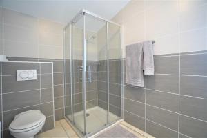ein Badezimmer mit Dusche und Toilette in der Unterkunft STUDIO dernier étage avec terrasse - vue montagne in Cruseilles + 7 Fotos