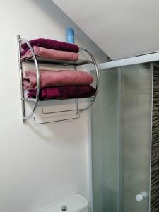 a bathroom with a towel rack next to a toilet at Casa Epi - Encantador apartamento en el centro de Granada - Barrio Realejo in Granada