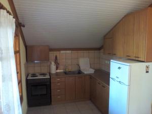 Kuchyň nebo kuchyňský kout v ubytování Villa Anta