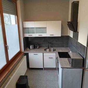 a small kitchen with a sink and a microwave at City-Apartment Sorgenfrei in Berlin