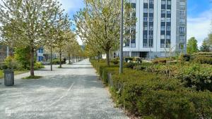 un trottoir devant un bâtiment avec des arbres dans l'établissement SAWADDEE, à Clermont-Ferrand