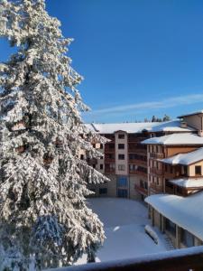 a snow covered christmas tree in front of a building at Kolimechkov Apartments Borovets in Borovets