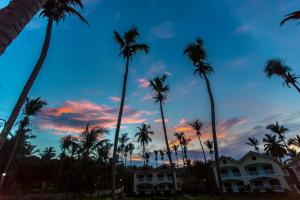 a group of palm trees at sunset at The Cove Apartments in El Francés