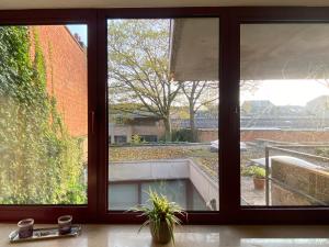 a window with a view of a courtyard at t‘Predikheren in Lier