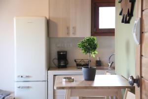 uma pequena cozinha com um vaso de plantas sobre uma mesa em Picollo Grecia Residence Panoramic View em Ermoupoli
