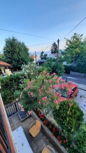 Zahrada ubytování Holiday Home Marija