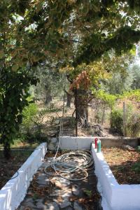 a garden with a hose laying on the ground at Villa Anta in Skala Kallirakhis