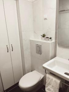 La salle de bains blanche est pourvue de toilettes et d'un lavabo. dans l'établissement Aurora Apartment, à Podgorica