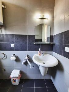 a bathroom with a sink and a mirror at Darki Apartment - Bazaar Location With Free Parking in Ohrid