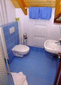 Baño de azulejos azules con aseo y lavamanos en Penzion Úsmev en Arnutovce
