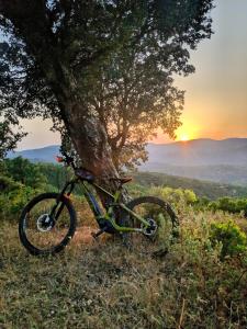 uma bicicleta estacionada ao lado de uma árvore com o pôr-do-sol ao fundo em Villa sunbeach em Roquebrune-sur-Argens