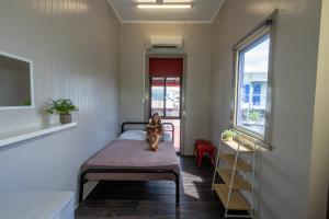 a girl sitting on a bed in a room with a window at The Jack Backpackers in Cairns +36 photos