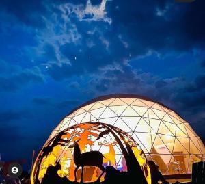 a large geodesic dome with a cat in it at Clear Sky Resorts - Grand Canyon - Unique Sky Domes in Valle