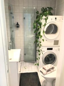 een badkamer met een wasmachine met een potplant bij Avara keskusta asunto + oma ilmainen parkkipaikka in Tampere