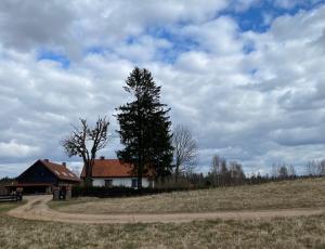 dom z drzewem pośrodku pola w obiekcie Siedlisko Maria Jabłonowo w mieście Jabłonowo