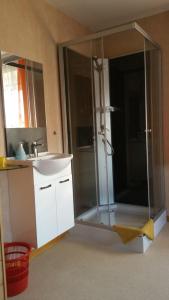 La salle de bains est pourvue d'une douche, d'un lavabo et d'un miroir. dans l'établissement Tiny-Apartment-in-Gemuenden-an-der-Wohra, à Gemünden an der Wohra