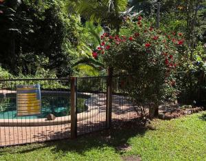 Studio in the Rainforest室外花園