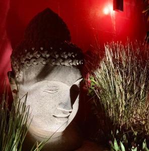 posąg głowy obok trawy w obiekcie CALME ET SERENITE A LA RIVIERE w mieście Saint-Louis