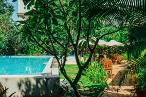 a palm tree in front of a swimming pool at iRoHa Garden Hotel & Resort in Phnom Penh