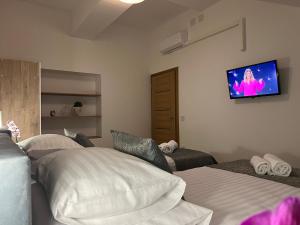 Un dormitorio con dos camas y un televisor en la pared. en Penthouse City Center, en Bihać 15 fotos más