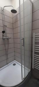 La salle de bains est pourvue d'une douche avec une porte en verre. dans l'établissement Gite La Revinoise, à Revin