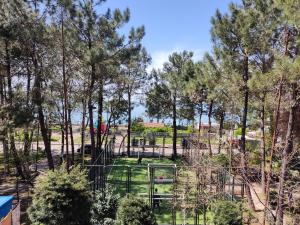 uma vista para um parque com árvores em Apartment Agmashenebeli 99 em Kobuleti